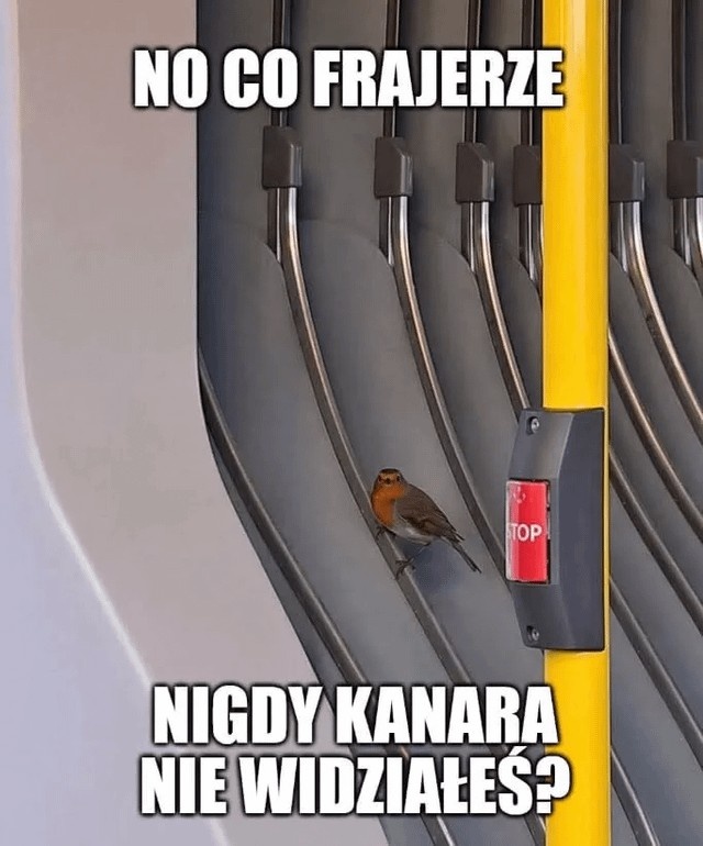 4214eeb5-18bd-4b95-a17a-52a26c04c06d