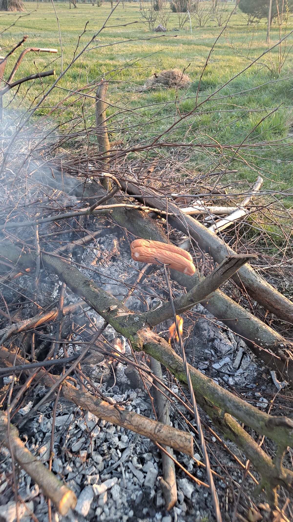 7c1d6fd2-e2ae-4fac-9823-119cf772f8be