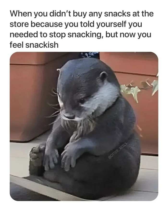 d8dac032-d1d9-4765-81b6-d1af488678e0