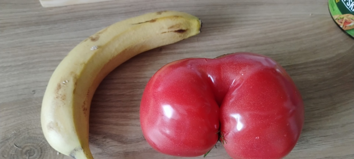 df8f2123-9784-4e65-8d1c-ae8bd3f40403