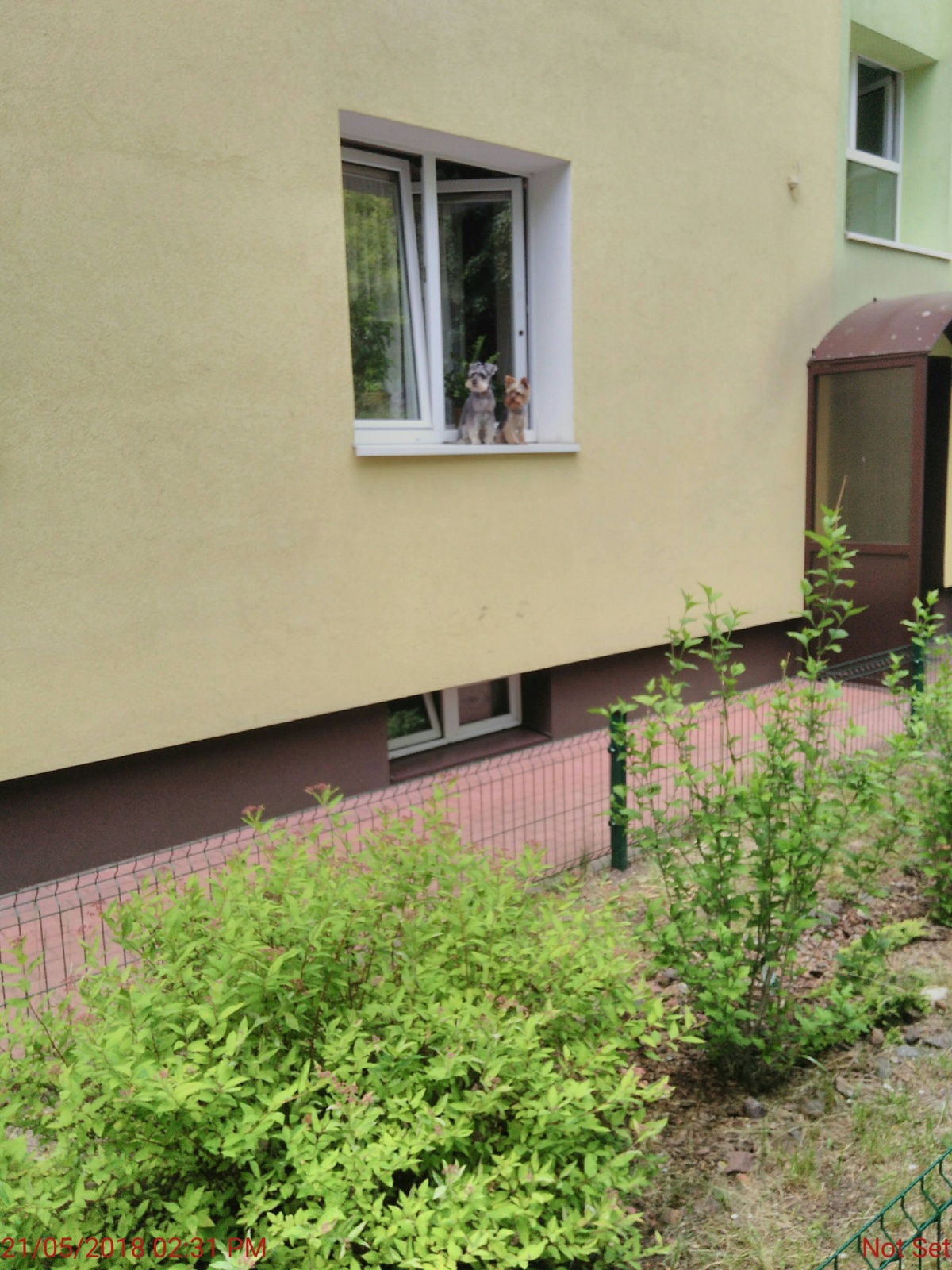 97ec90ba-9e1b-453c-925d-852a98cb18b4