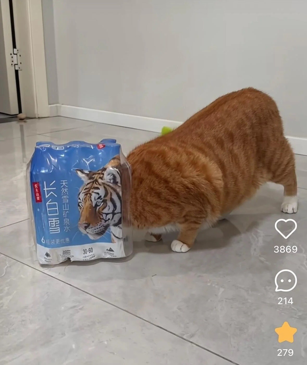 78a8e228-a1f9-4f91-a5ef-3130ef011c92