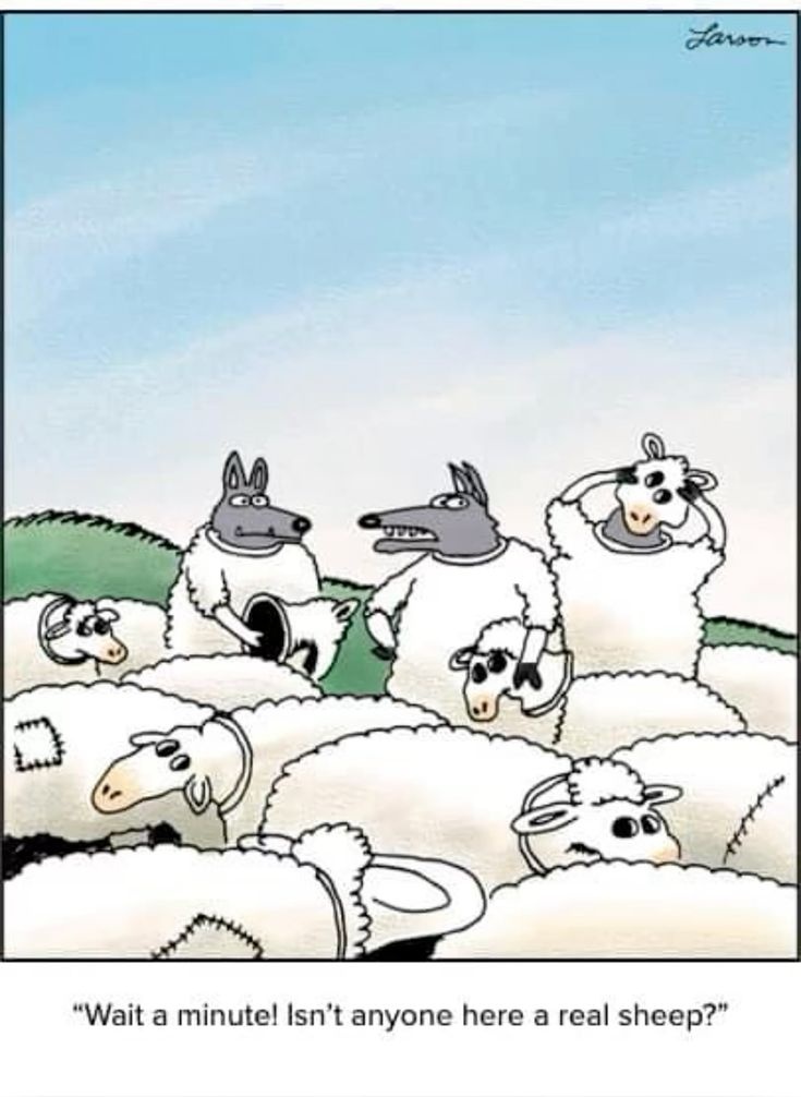 c9030d95-2a9b-4d6b-9a1e-e6fc4372bad1