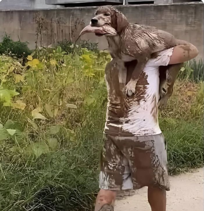 f9ed62a1-bc32-4f3f-9d1c-541d92fe13e1