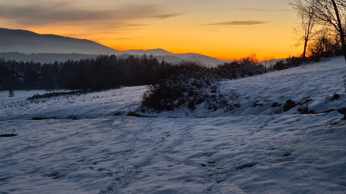 4465e6fb-b02b-4fca-9ce8-ef8fd6ad5543