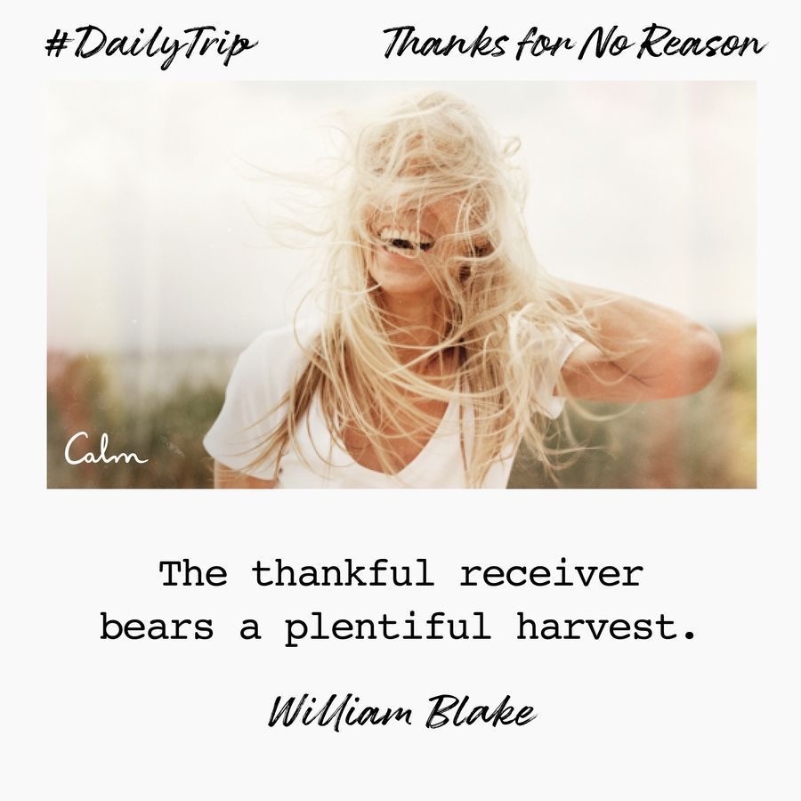 3b45b80b-5ee1-4642-8cd4-04532dff2a4a