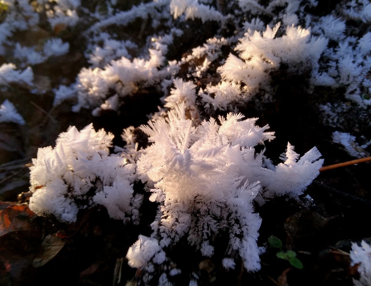 dcceae76-d0a5-4e23-8773-8aa1b13b5c64