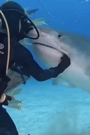 fff062c0-3210-47f4-a073-1bbe578b4c73