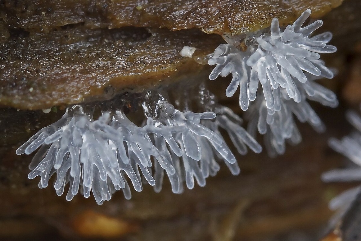 50cb09f8-fefd-464d-a0a6-de926ba8aa3b