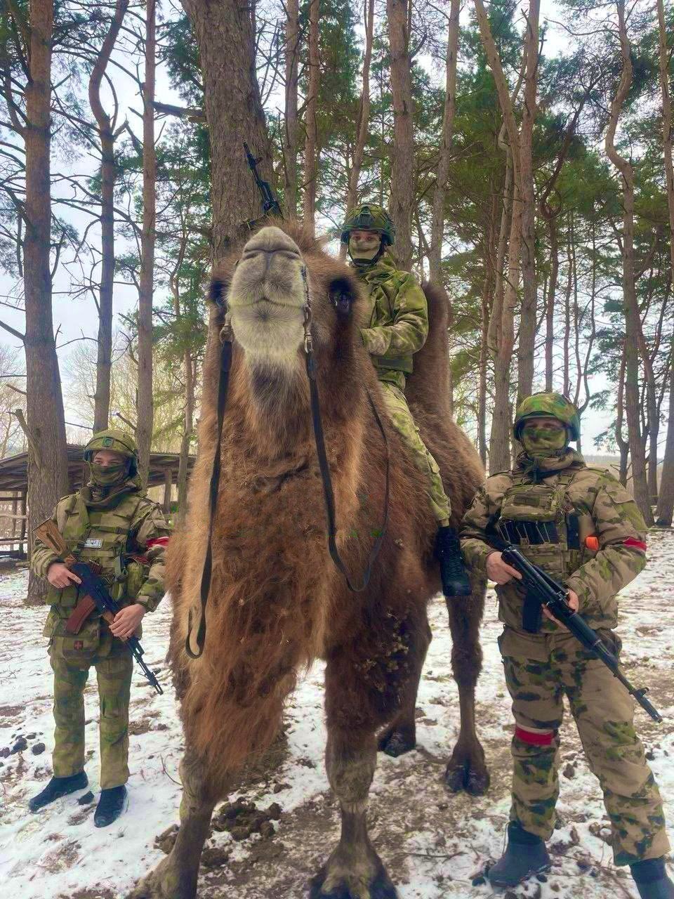 a1c1a69b-0d9a-4b44-9861-575b3f0bc5f4