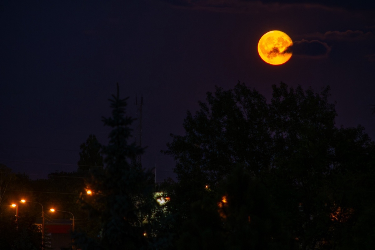 58cdcafe-1416-4b69-a357-3a4111aec6a3