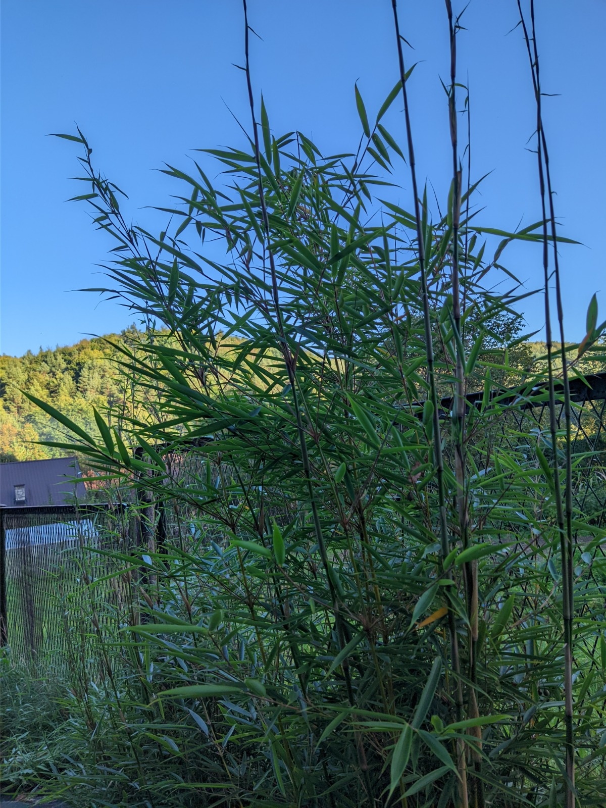 f232b54f-7495-4a74-99fd-41f221e7d152