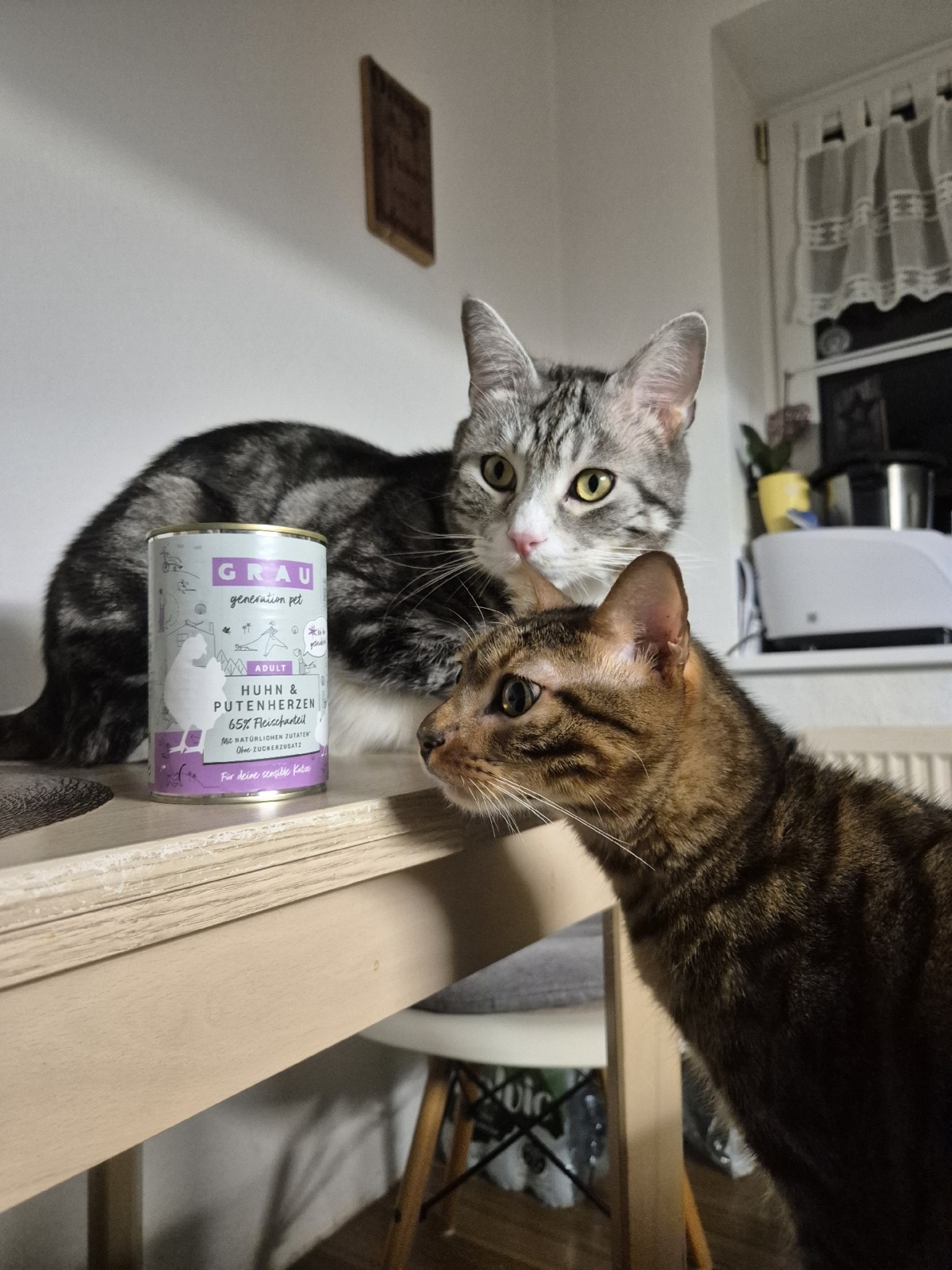 486efbcb-962b-47a5-bd3d-758c17c7e268