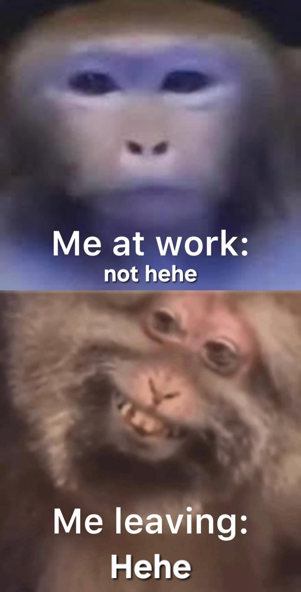 5b5df6c2-3ff8-401e-beef-b47064796415