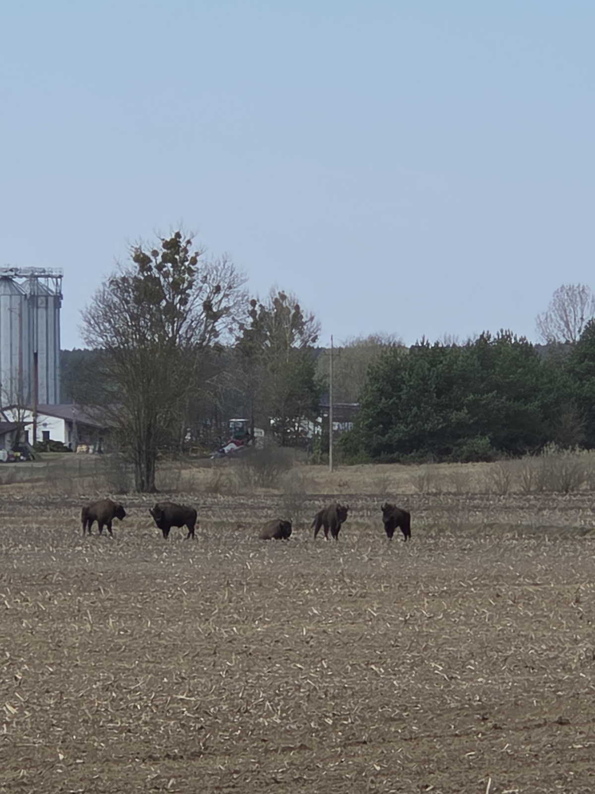 f8620041-d20e-452a-a01c-0c2c91853fff