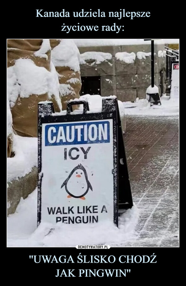 c5069772-21fd-45c1-bd8e-bec596117fec