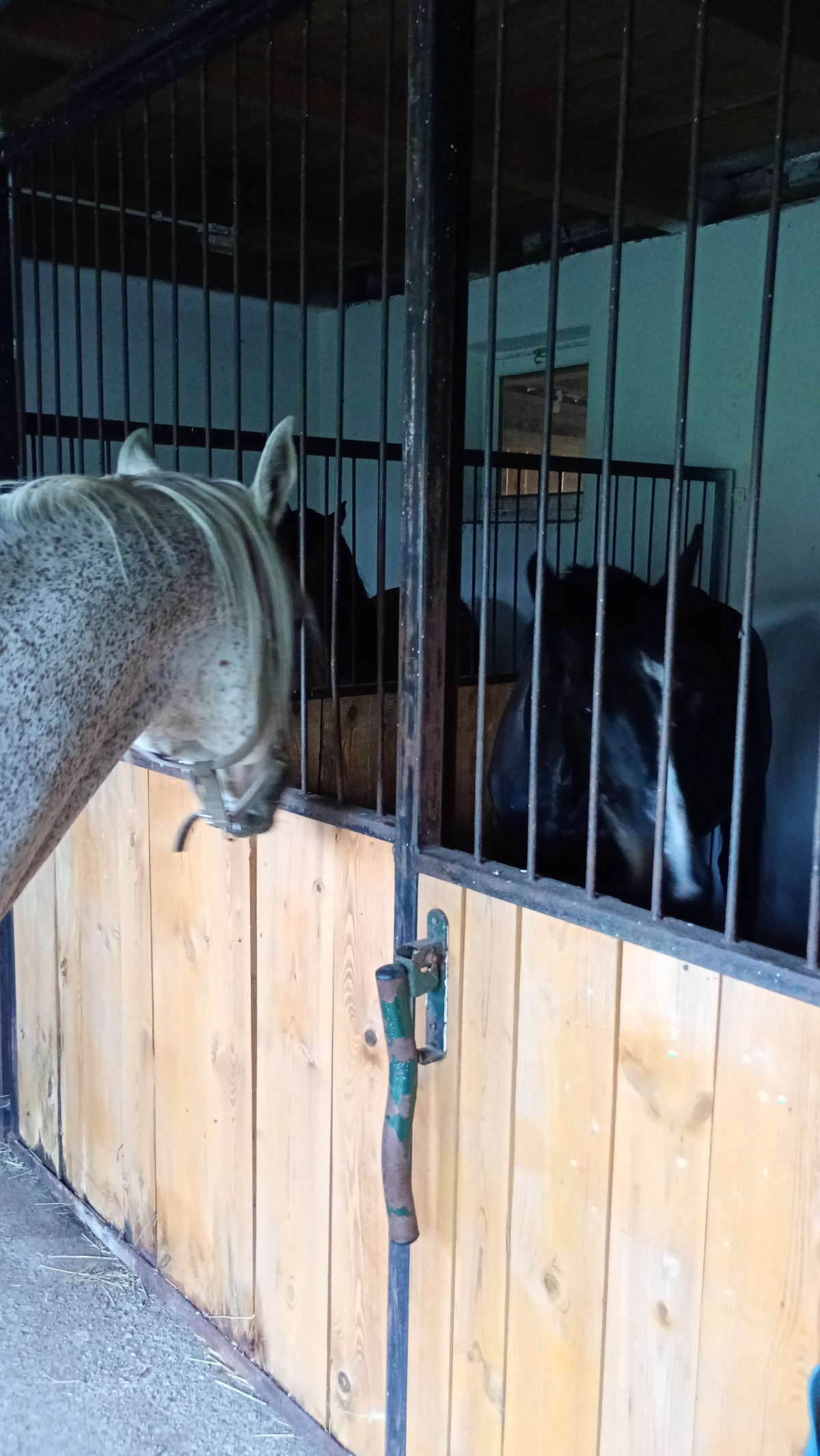 de89e417-0604-4919-914a-2b2dfed33b5c