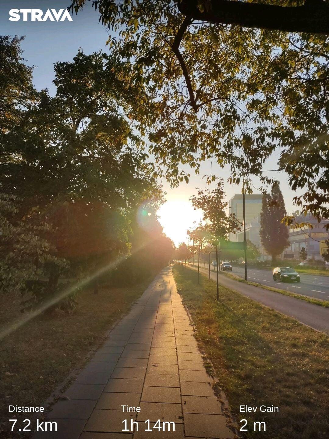 6845128d-9ea1-4954-9cd6-3d32a1b9bd33