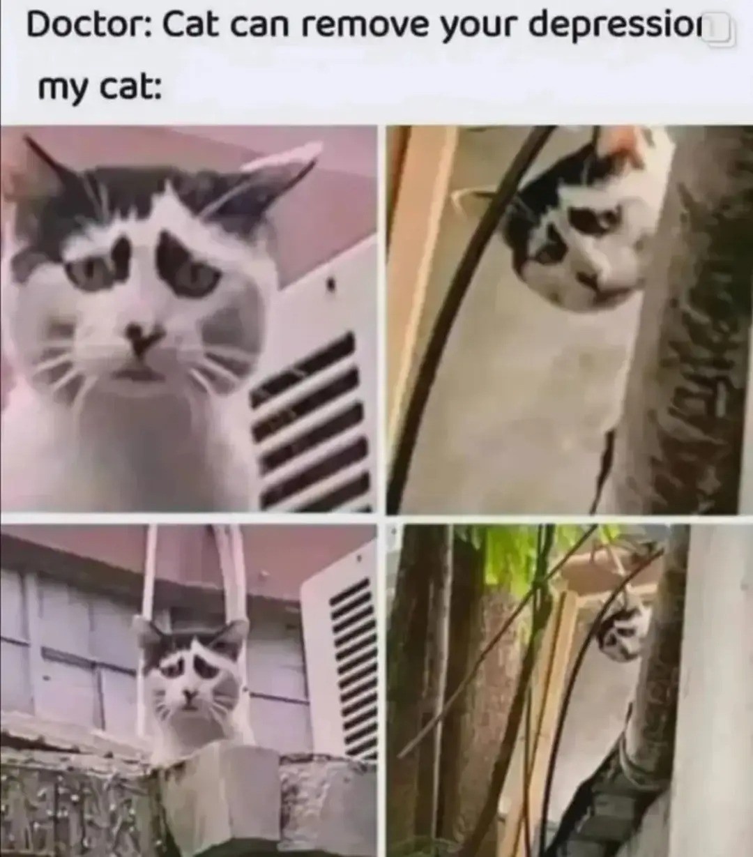 c9c15ca8-9ec2-4781-9aca-3c6e73c54243