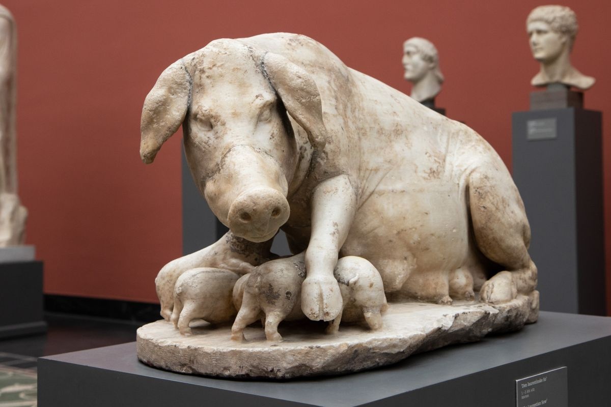 20d164d6-d1dd-45e1-acc4-33aac4816501