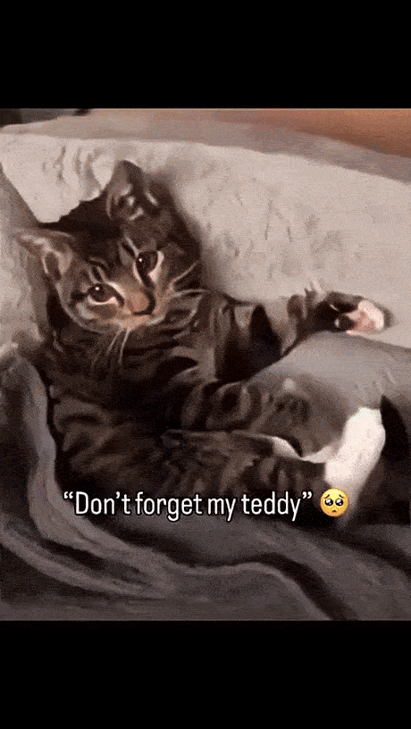 e80a9d38-b4ff-4c70-ad82-791e66e1079f