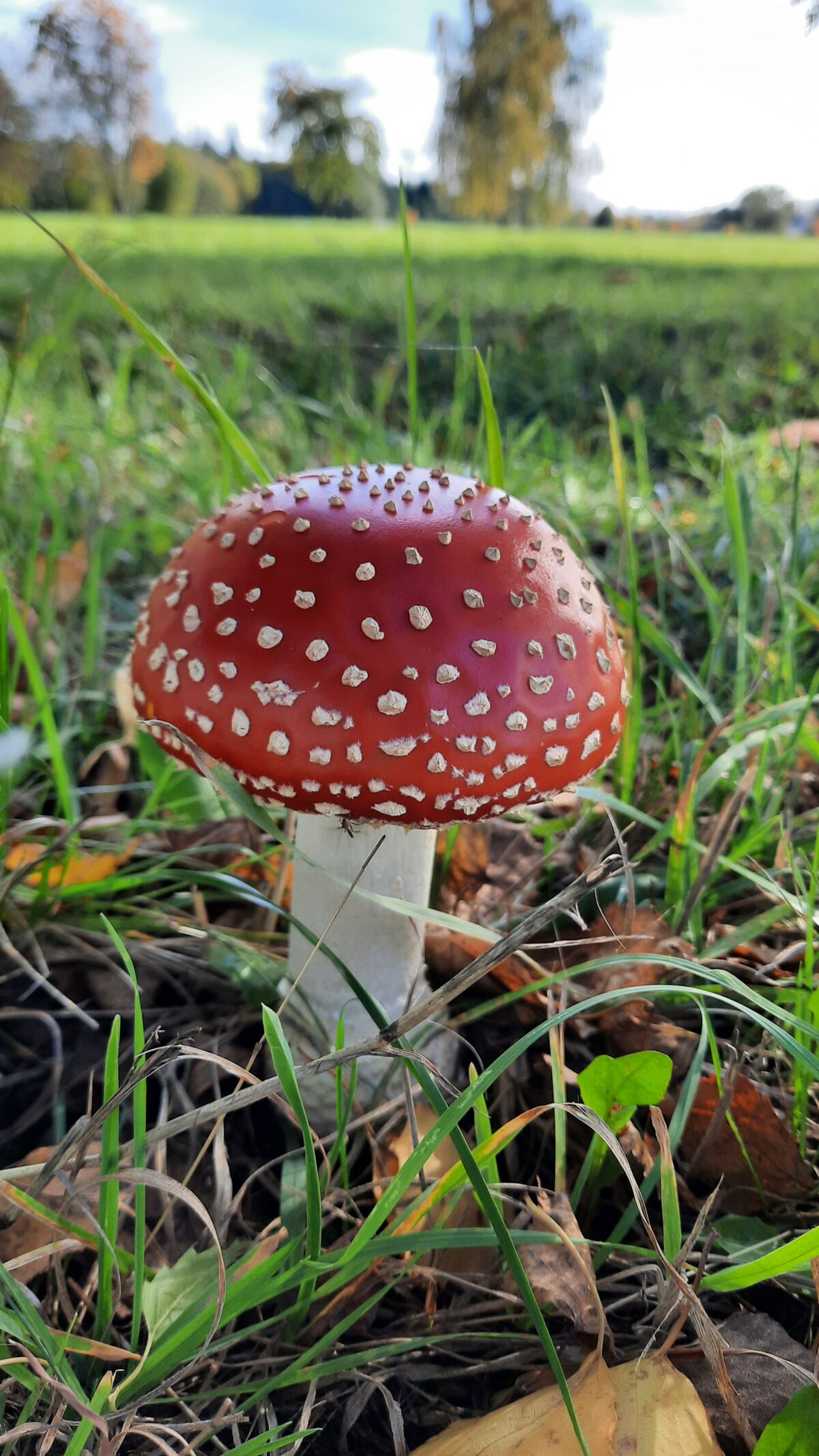 b0b319c4-c781-47c6-9ab7-812b609d3f06