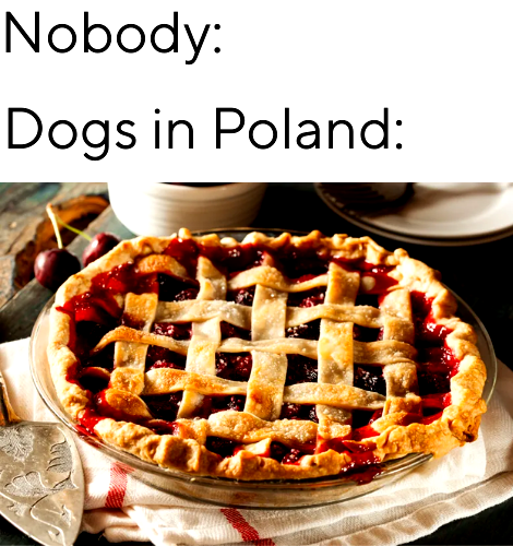 b77a0bc5-daf8-4788-818e-193865bde256