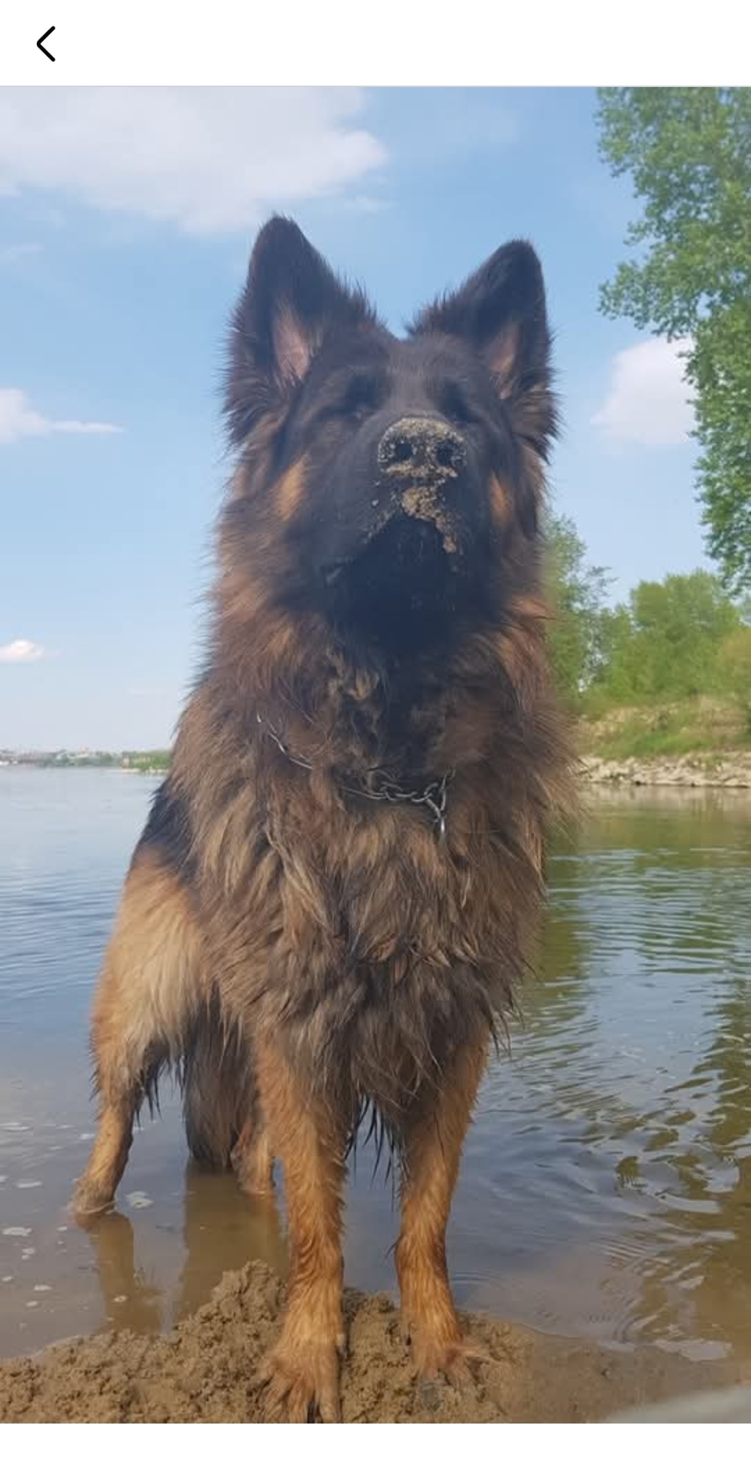 f94cecf2-3657-4bb4-8e2f-29a436390dd3