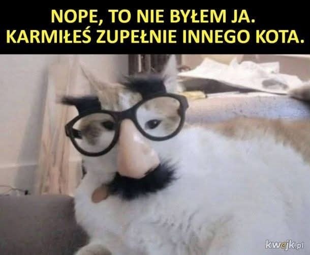 661365ba-a605-4b51-b903-d8b3d17be790