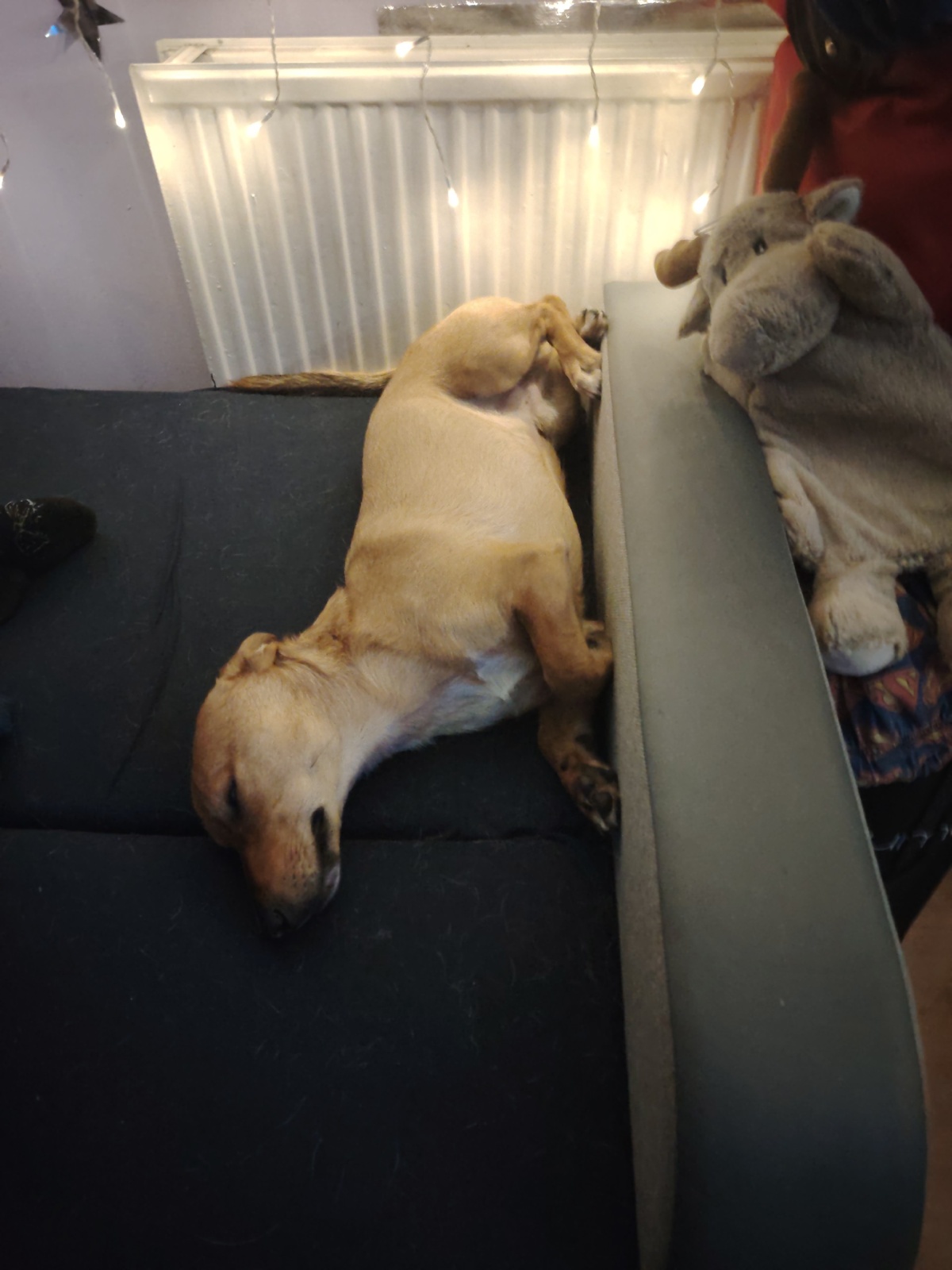 309d7cb7-44c8-4760-b65d-131cd338265c