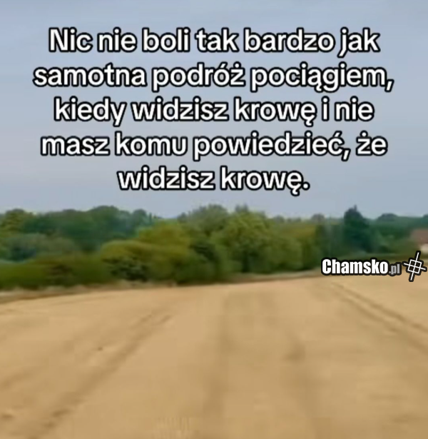 7e74f350-f9c1-4681-ab82-bf80702c359c