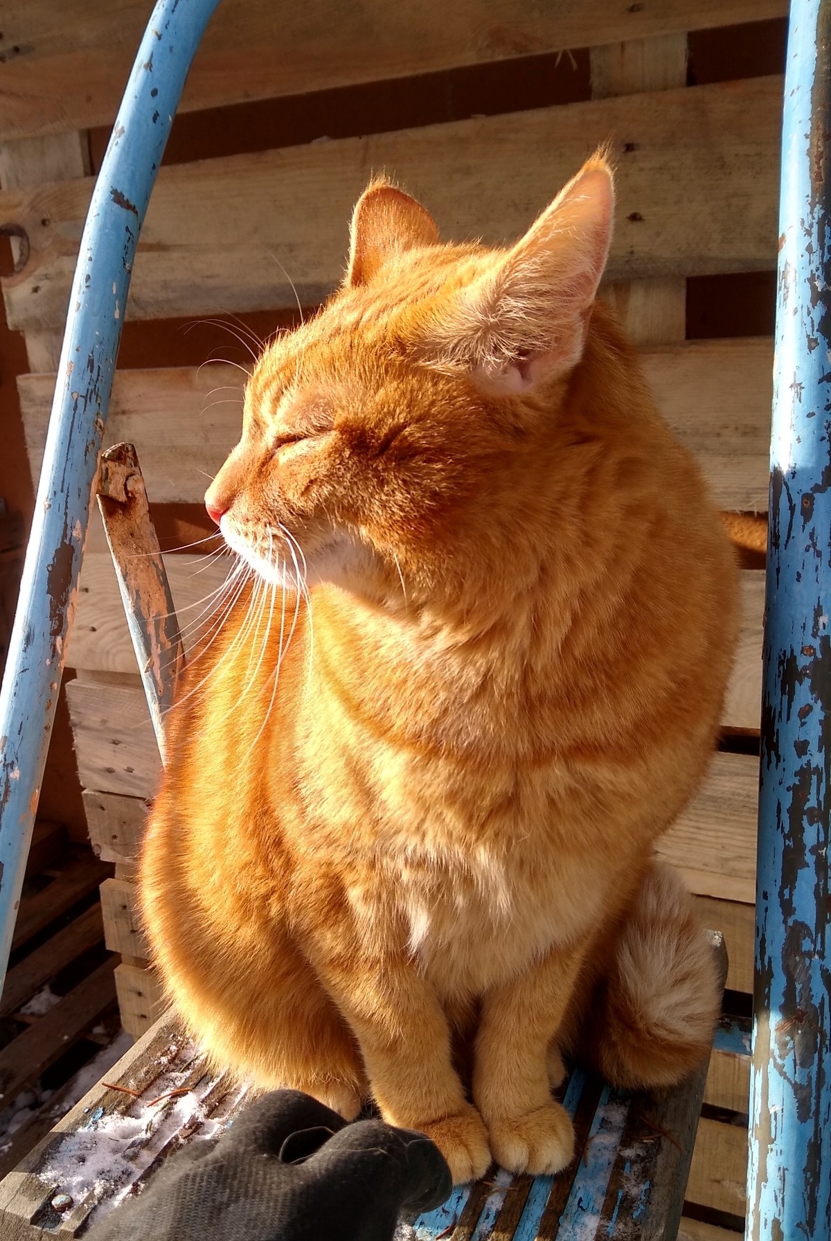 5fe16a23-9d16-4804-8f52-c7809e13225f