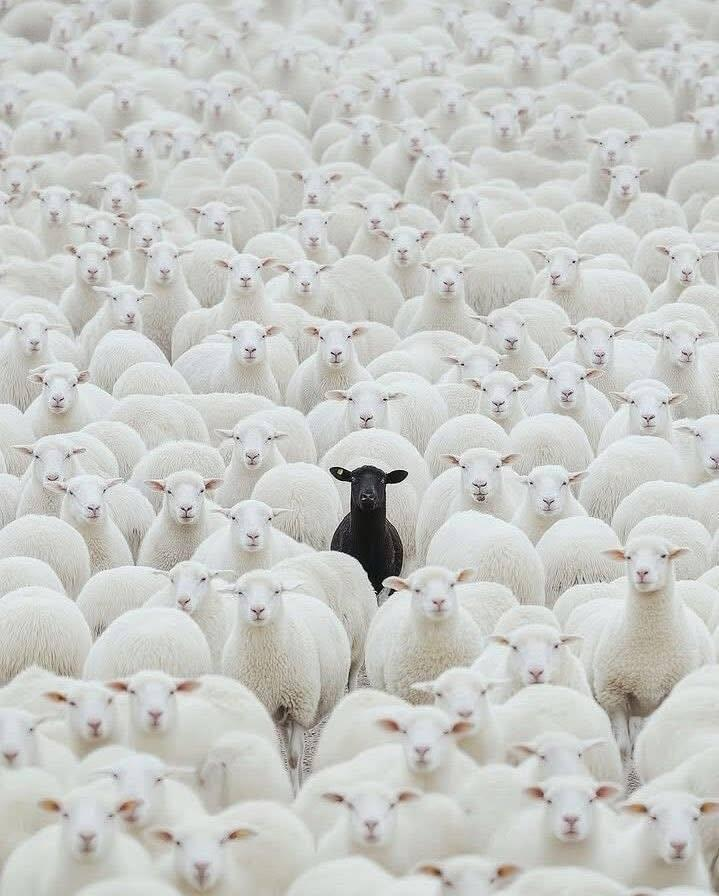 2a3a35fa-efab-414d-a00e-490e4f3a6eae