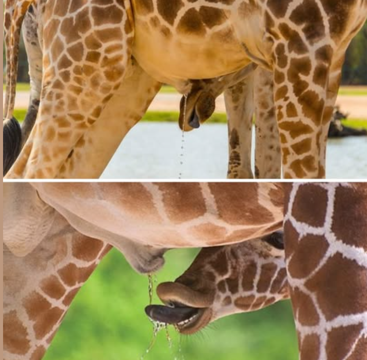 f43a7960-d8cf-4665-b80b-3dd597ef01a4