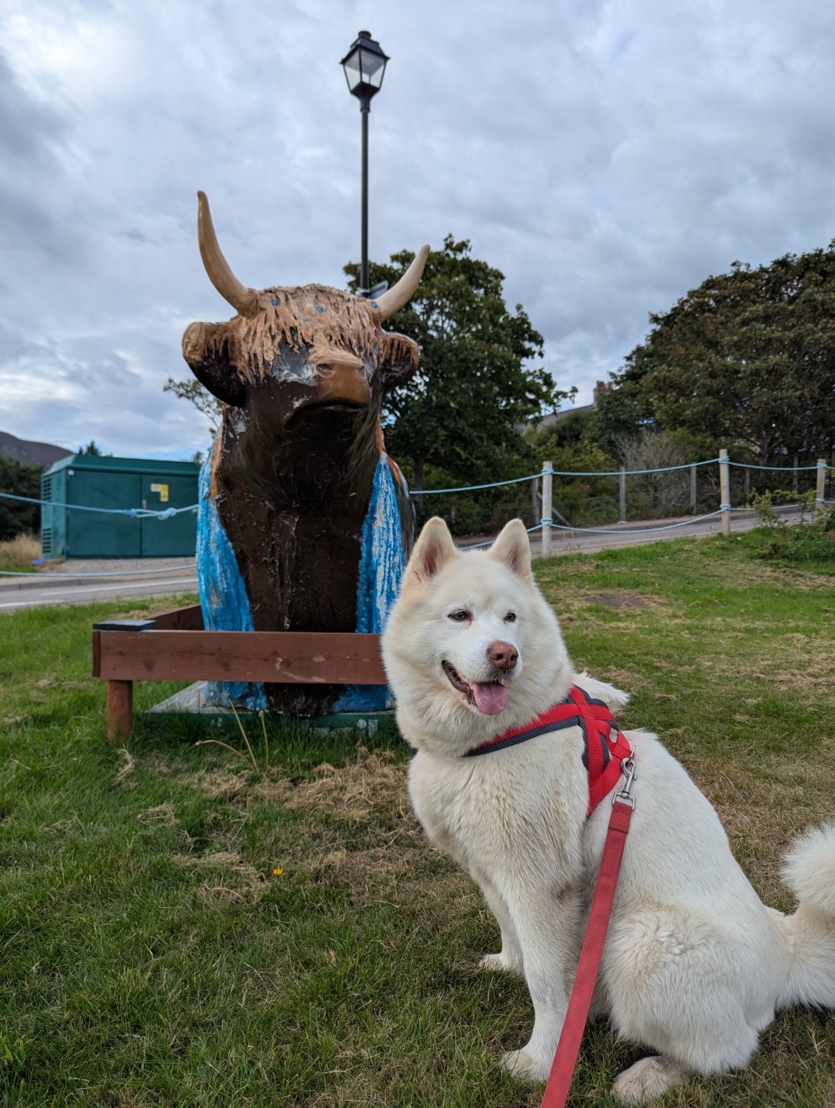 5fb03ecd-4af3-4749-9bdc-4f2d57d9a6c2