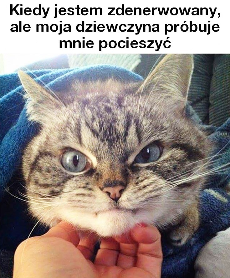 0c7e6571-db69-4df1-b6ae-e0937c81d7f3