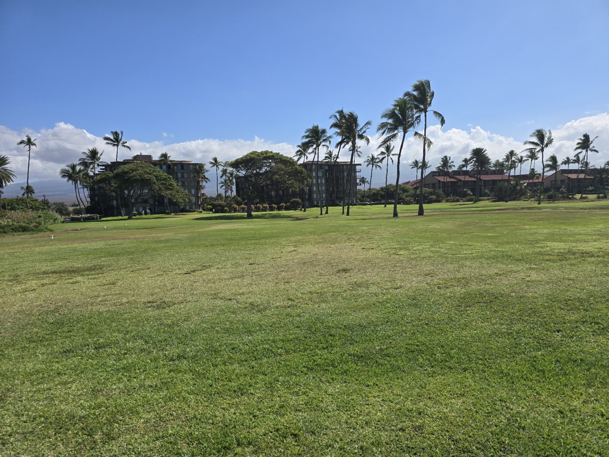 62e48097-f1ce-4c3d-9097-a38de6c5d228