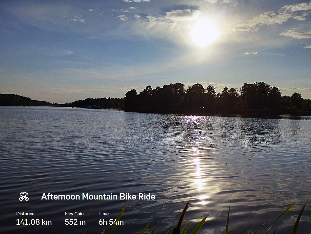 d31bb6b7-12f8-453f-b82f-38ca758a8c8e