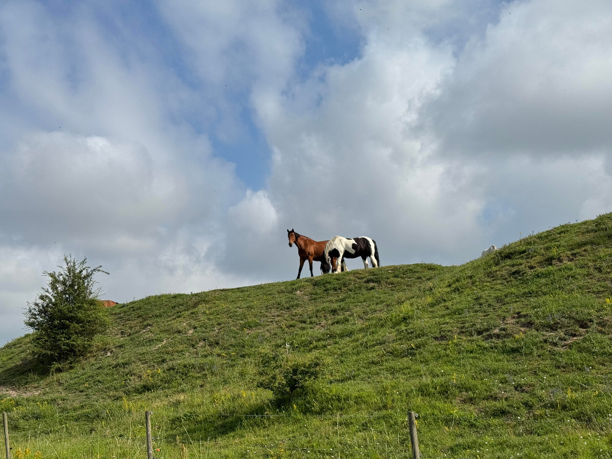 6b4d69a4-701c-4b0e-9ffc-e42ee6e7b0c6