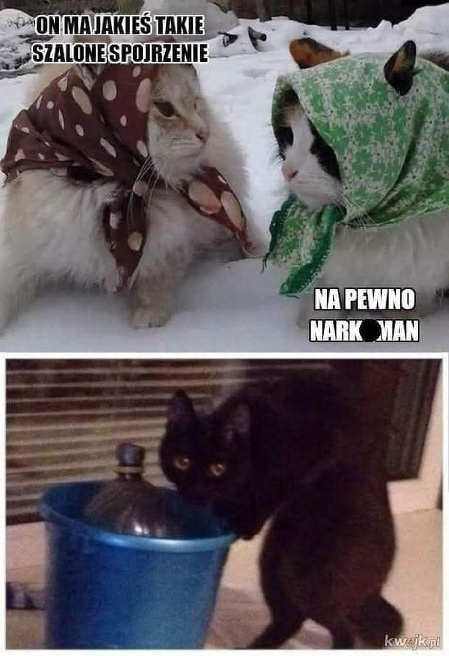 53d12a4c-3e57-4d8f-aa2d-96efe0fd6c9c