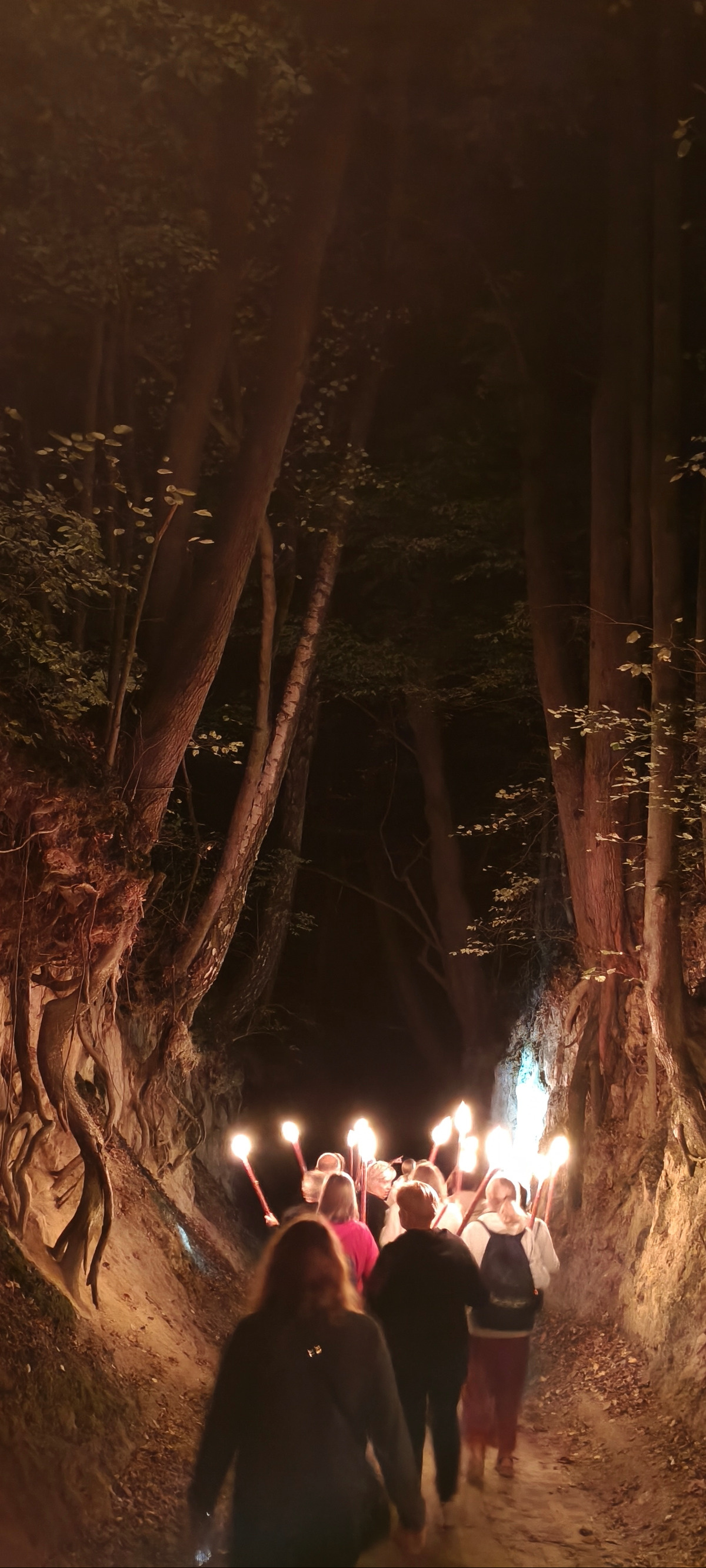 1a157578-0537-47fd-93b5-d23e46692603