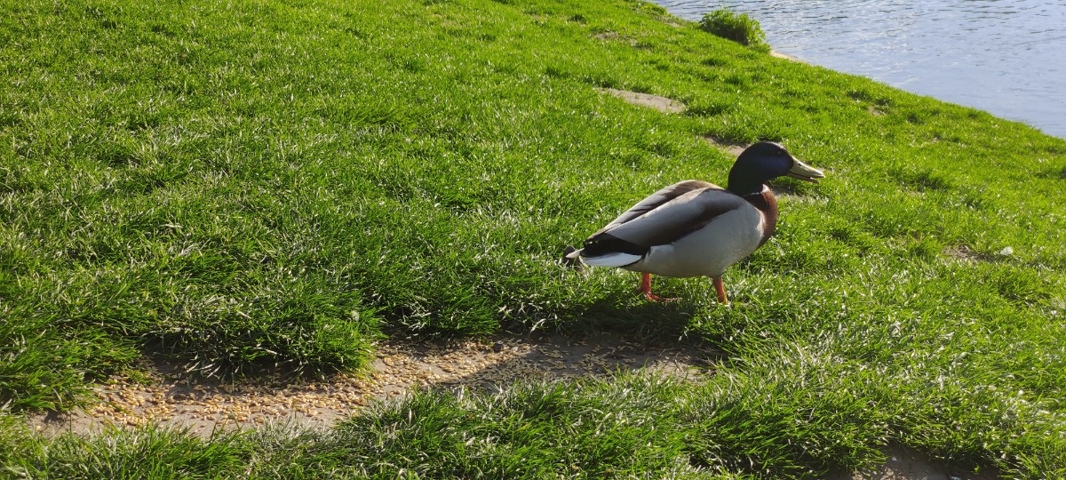 f01a5967-1392-4e9f-91df-63c2e97e1413