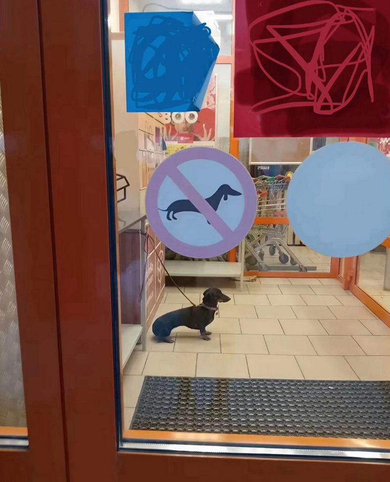 4fe5f0e4-d4da-4e33-9997-70360f355c5e