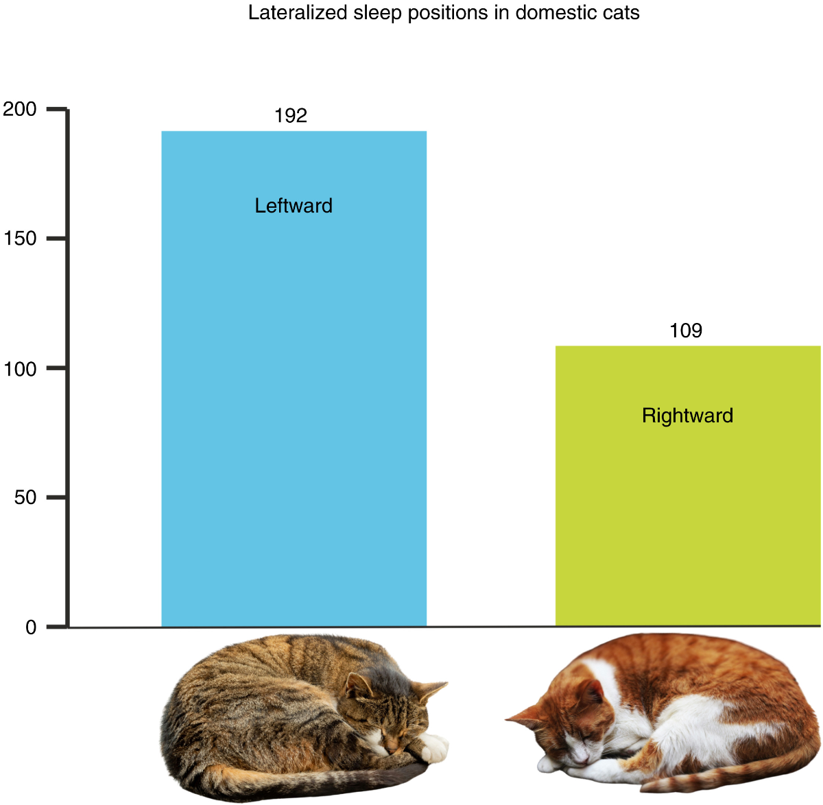 b780dae6-4528-4c58-8069-e8bf9480b2a4