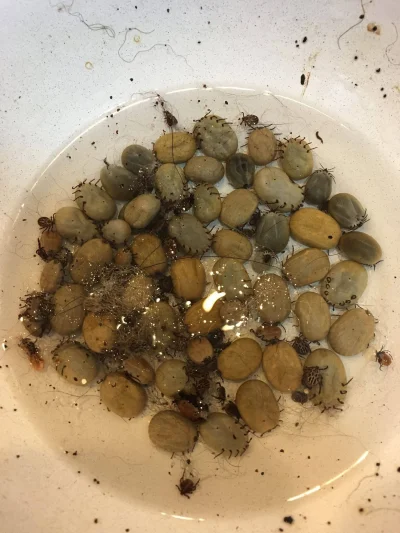 10c4090c-3d97-4c7c-8048-68e14447b935