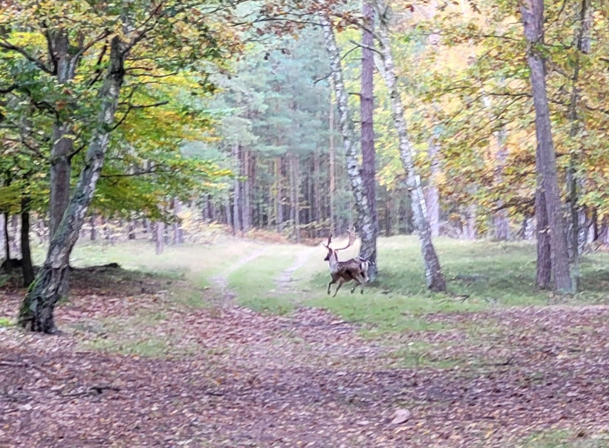 e47a8ef1-18dd-4a57-879a-ccb47ebde2a4