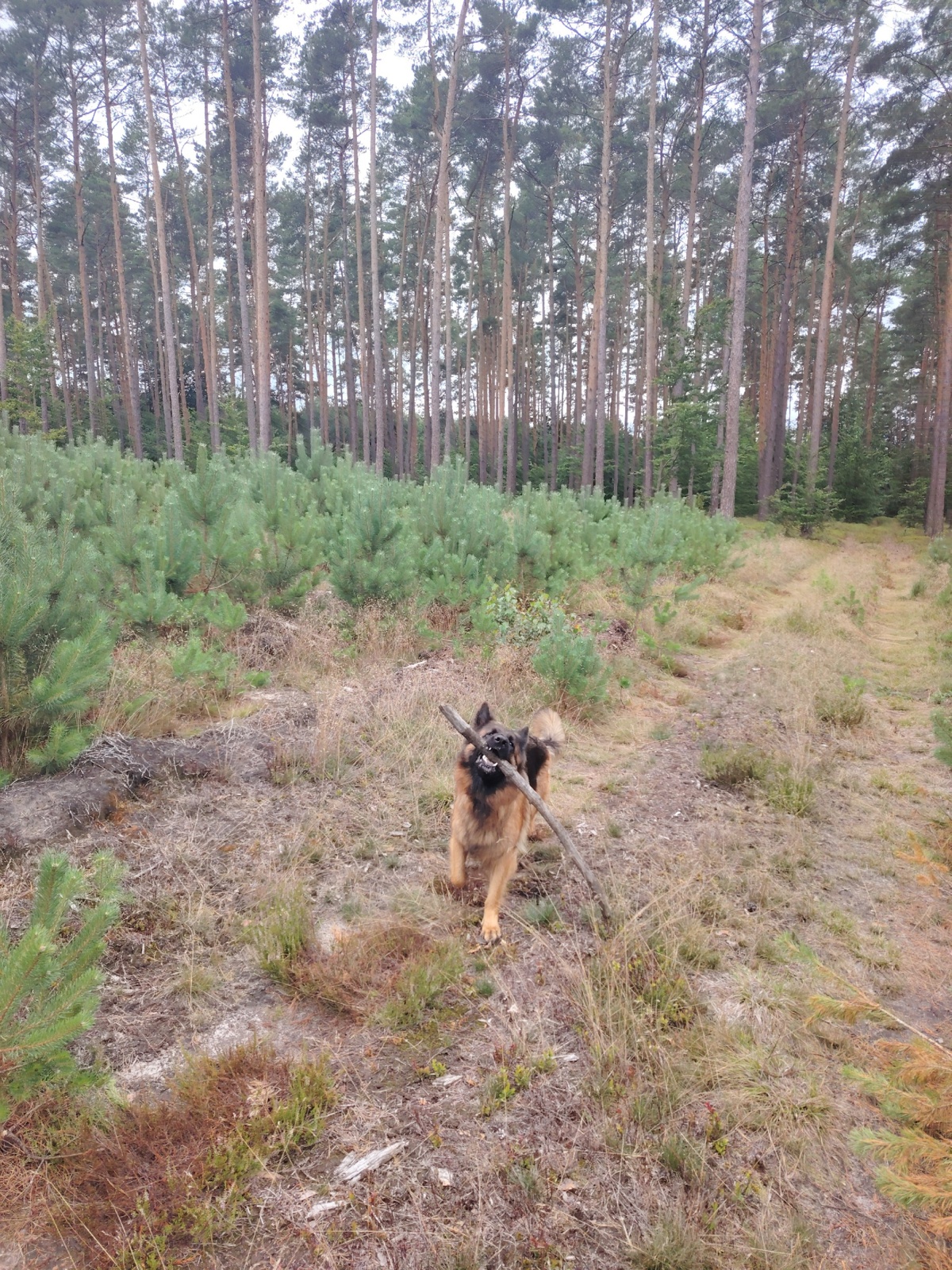 be47dabf-4b4f-4fcb-a9bb-1114c48420c7