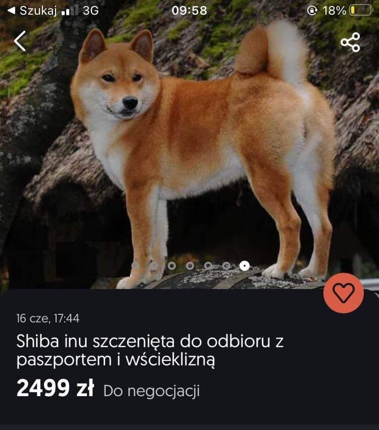 191a2e3d-e9be-407a-a0db-2fd95ddd6524