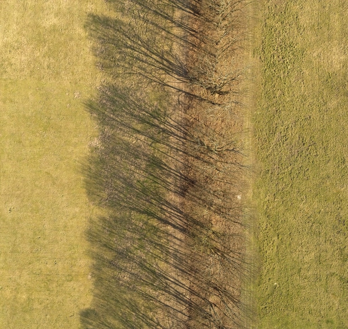 74b2dc03-1ddc-47c2-90f9-732d5dda525e