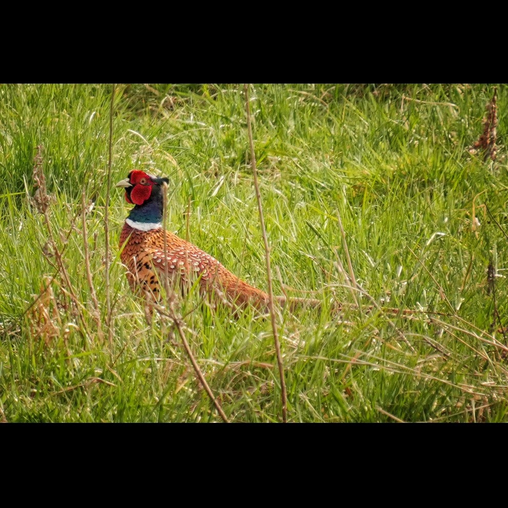 76c507ce-622f-47a5-9cdf-fa4539951b2f